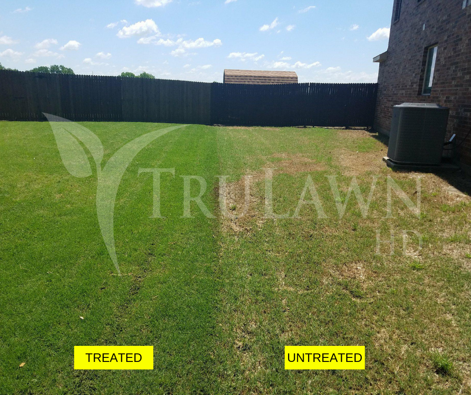 Weed Control | Beautiful Lawn | Texas | Best Results