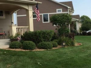 residential-shrub-trimming