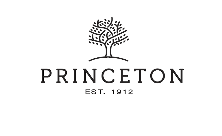 Princeton, Texas New Logo