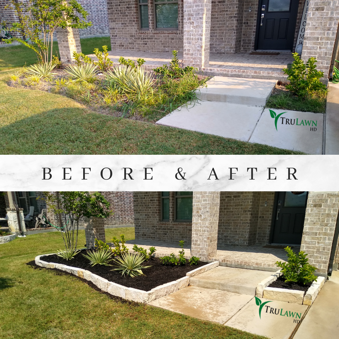 Before And After Border