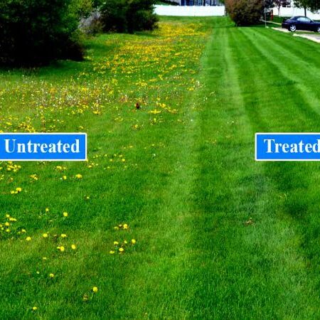 BroadLeaf Weed Control